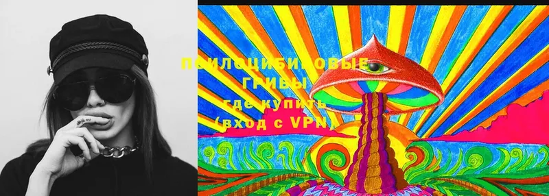 Псилоцибиновые грибы Cubensis  закладка  Георгиевск 